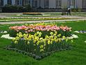 Pillnitz (124)